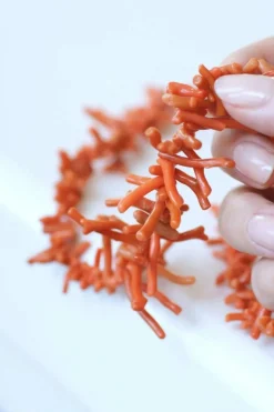 Collier branche corail fermoir or rose