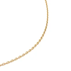 Collier Chaine Or jaune