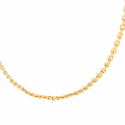Collier Chaîne Or rose