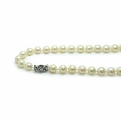 Collier Choker, perles d'Akoya 8.2 mm