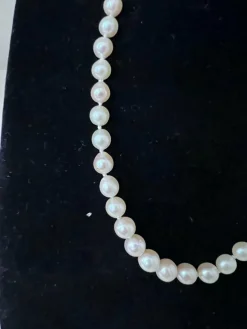 Collier de 50 perles de culture Akoya fermoir or blanc
