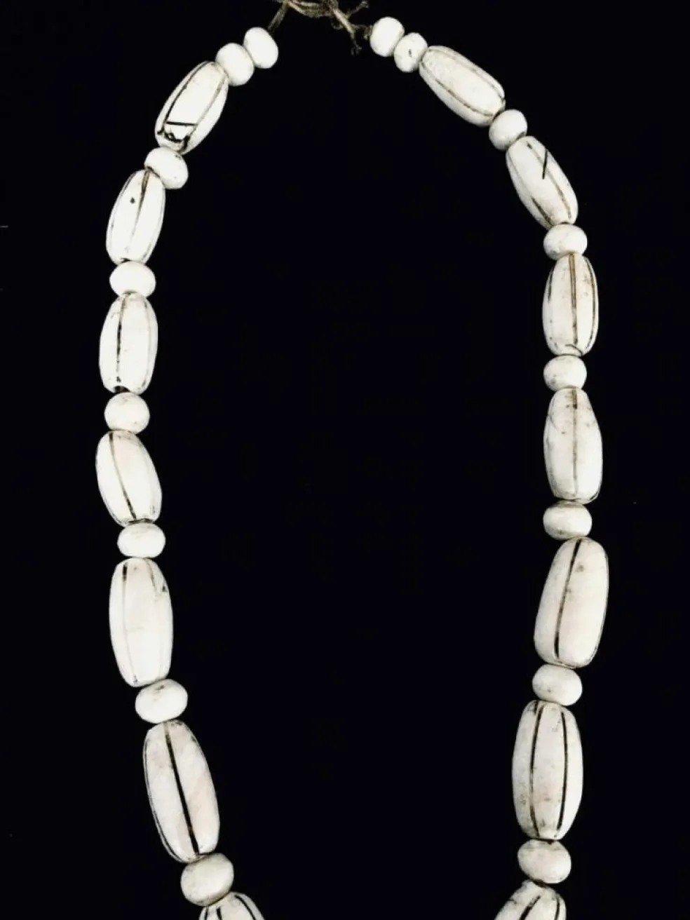 Collier De Coquillages Nagaland