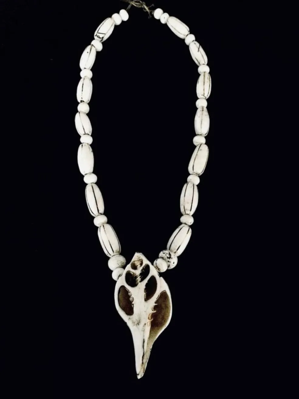 Collier De Coquillages Nagaland