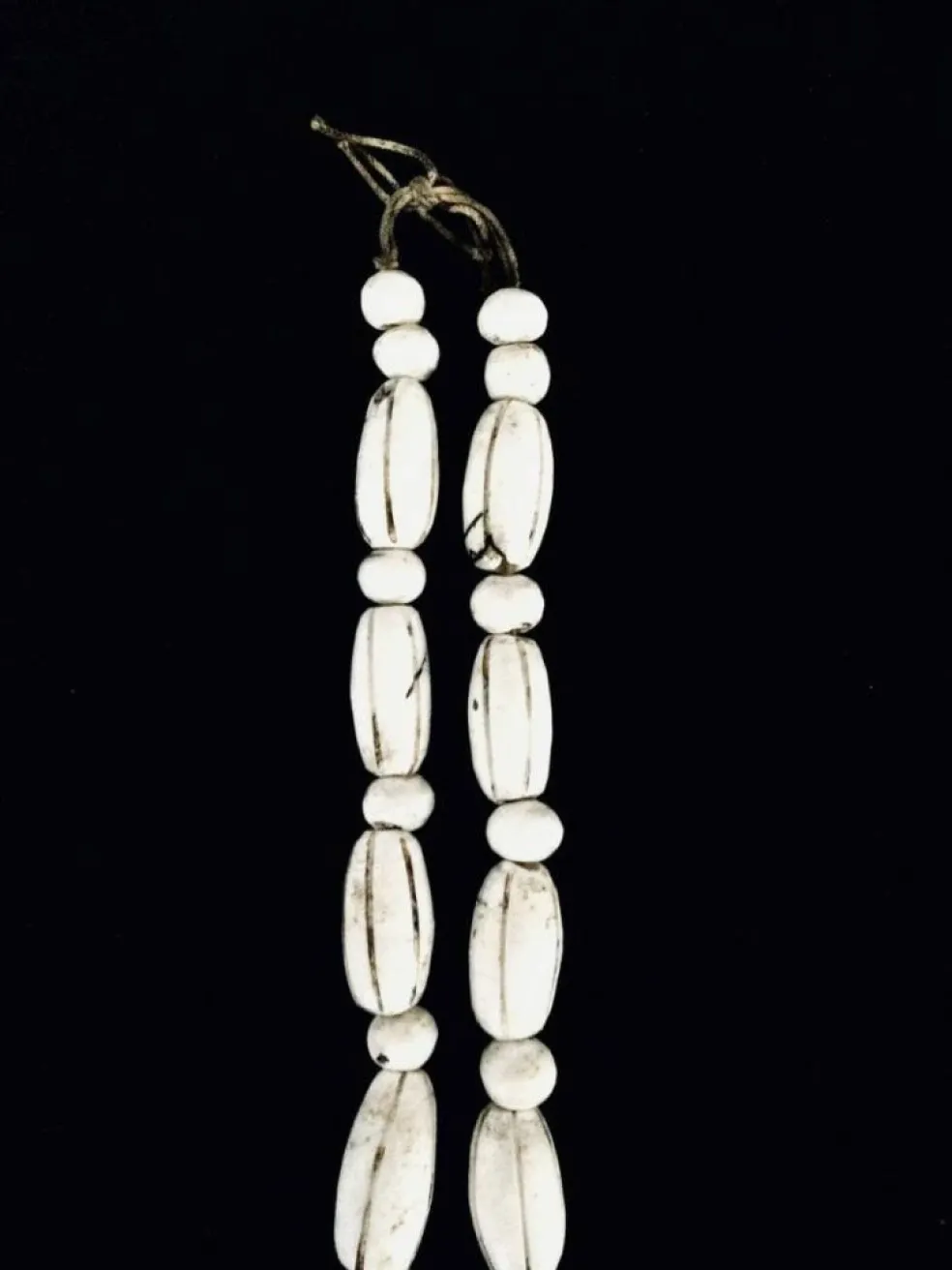 Collier De Coquillages Nagaland