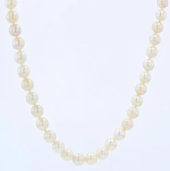 Collier de perles de culture choker