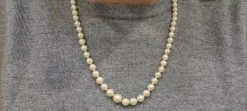 Collier en Or jaune, perle de culture