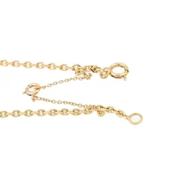 Collier Forçat Or jaune