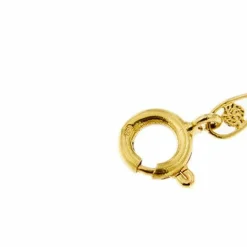 Collier long