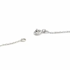 Collier Maille forçat Or blanc