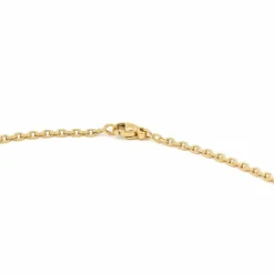 Collier Maille forçat Or jaune