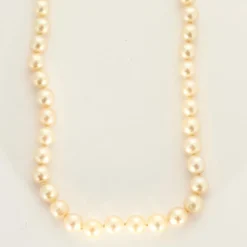 Collier Perles Akoya or jaune