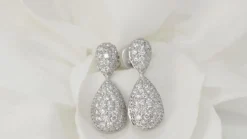 Pendants d'oreilles en or blanc et diamants