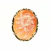 Pendentif - Broche années 50 or jaune et camée coquillage