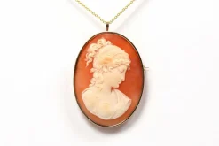 Pendentif - Broche années 50 en or jaune, camée coquillage