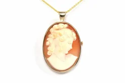 Pendentif - Broche années 70 or jaune, camée coquillage