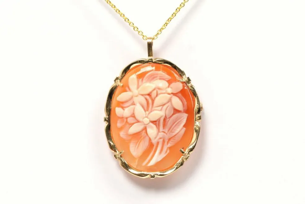 Pendentif - Broche années 50 or jaune et camée coquillage