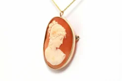 Pendentif - Broche années 50 en or jaune, camée coquillage