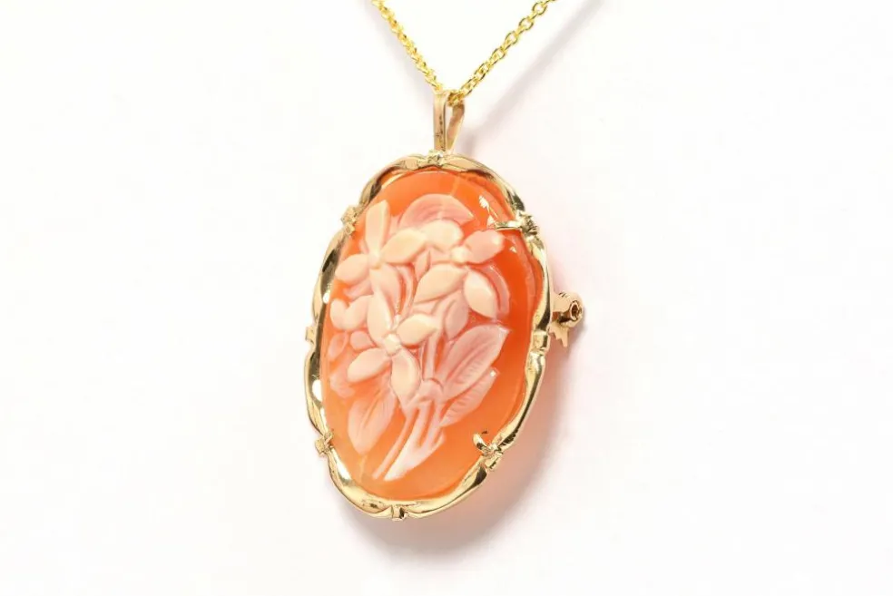 Pendentif - Broche années 50 or jaune et camée coquillage