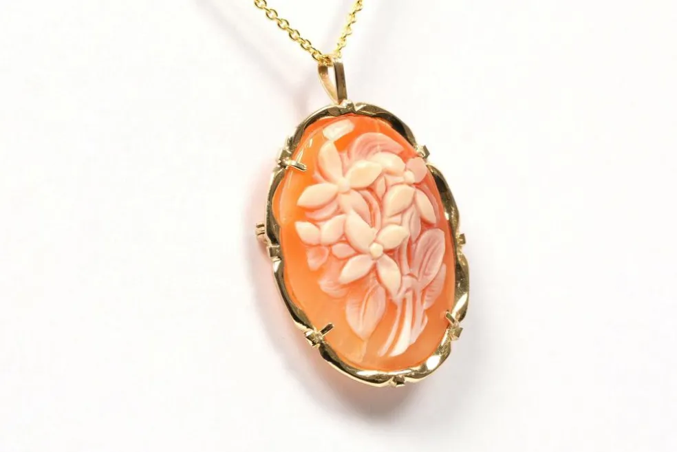 Pendentif - Broche années 50 or jaune et camée coquillage