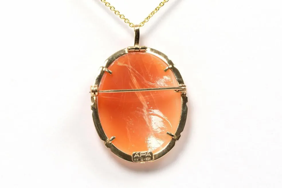 Pendentif - Broche années 50 or jaune et camée coquillage