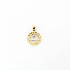 Pendentif étoile de David or jaune et blanc