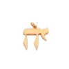 Pendentif Tu as une rose en or
